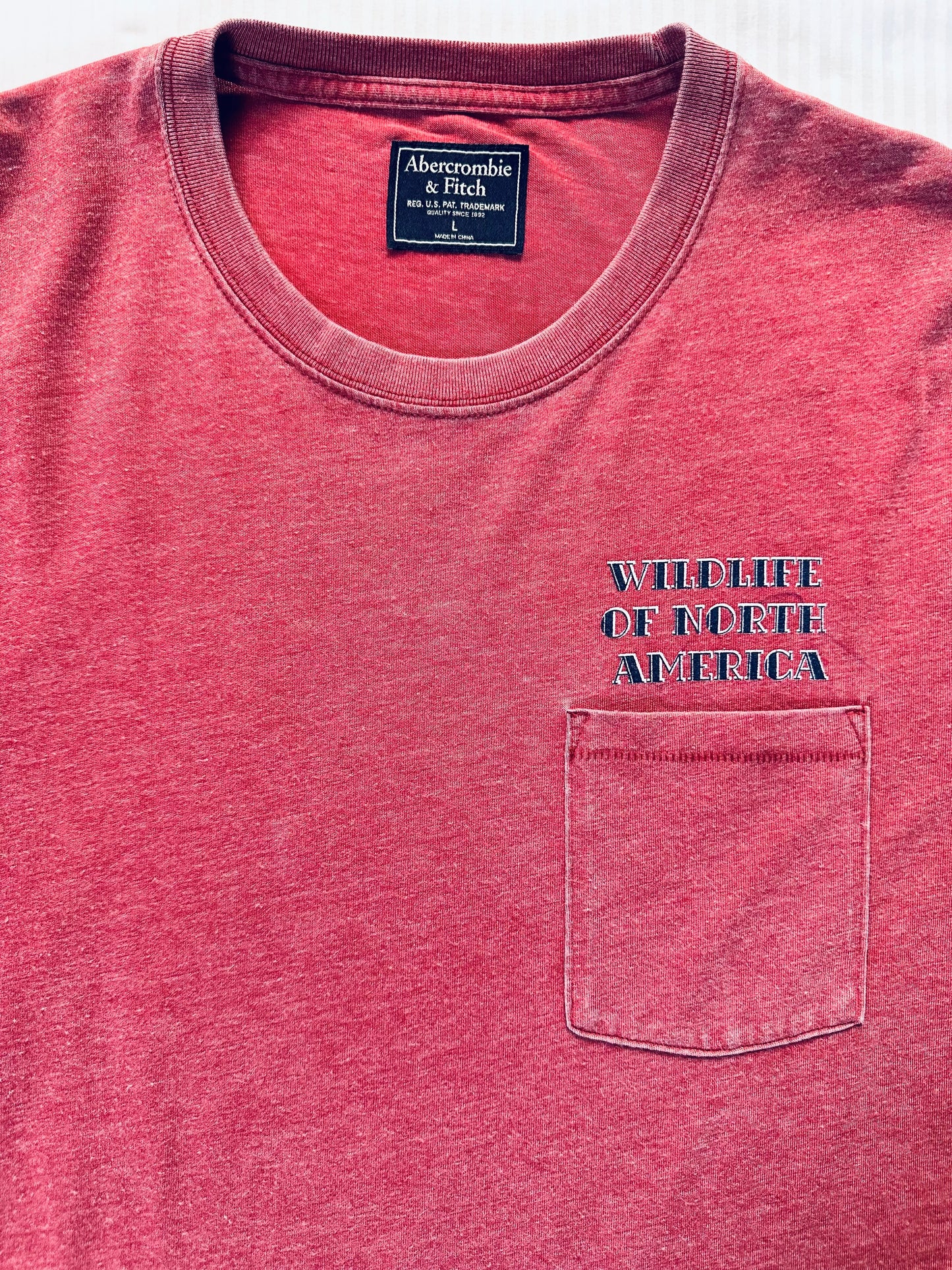 Abercrombie & Fitch T-Shirt (Sz L)