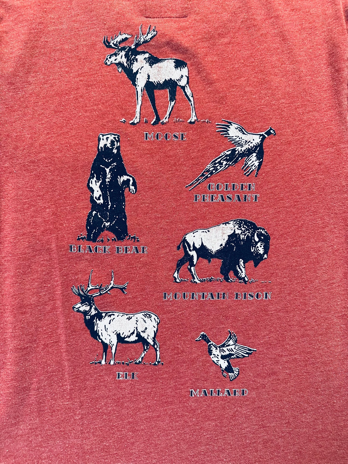 Abercrombie & Fitch T-Shirt (Sz L)