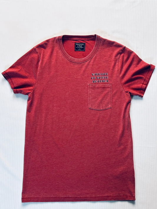 Abercrombie & Fitch T-Shirt (Sz L)