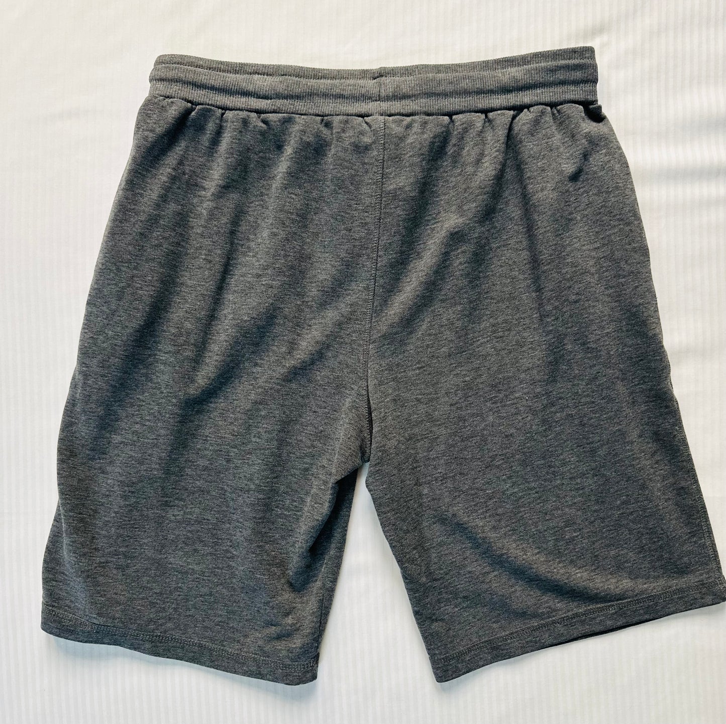 Ralph Lauren Shorts (Sz L)